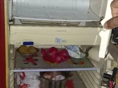 230 L Single Door Refrigerator 230 L Single Door Refrigerator