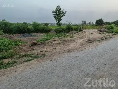 Road Touch Agricultural Plot Kodinar Road Touch Agricultural Plot Kodinar