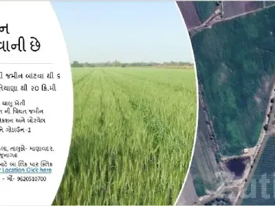 36 Vigha Fertile Agriculture Land, Bhadula 36 Vigha Fertile Agriculture Land, Bhadula