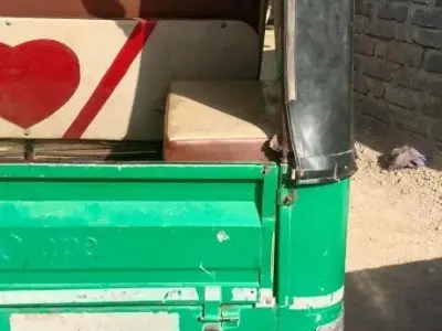 2019 CNG Auto Rickshaw