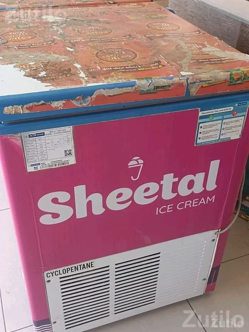 Blue Star Ice Cream Deep Freezer - Refrigerators - Amreli City - Image 3