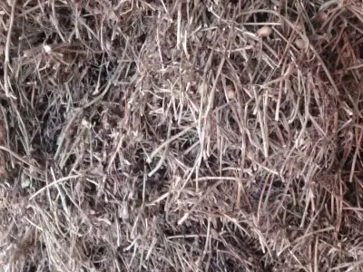 જમીન વેચવાની છે જમીન વેચવાની છે
