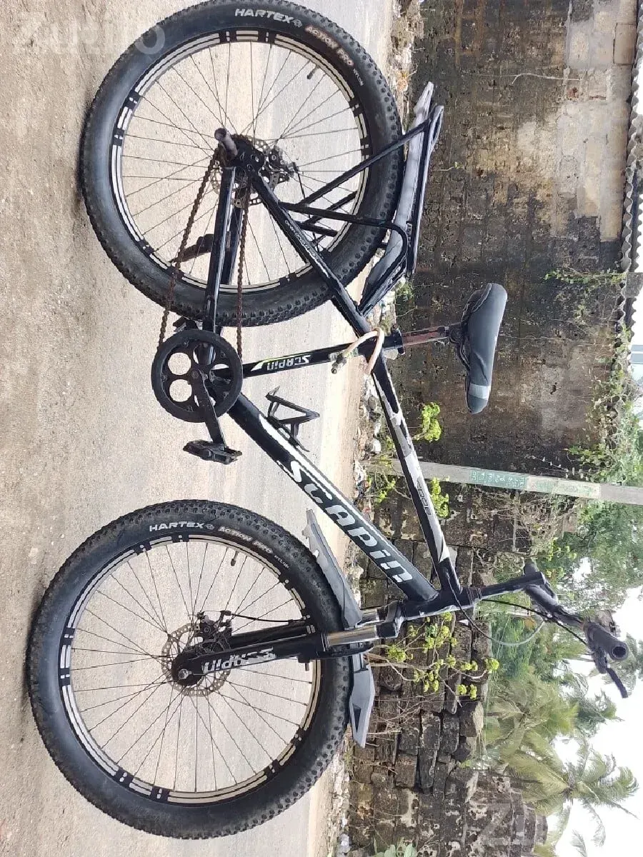Sypil Fat Tyre Mountain Bicycle with Disc Brakes - Adult Bicycles - Mangrol - Image 2