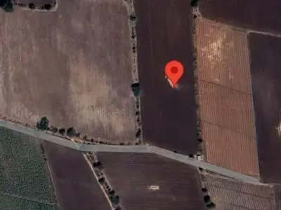 20 Vigha Agricultural Land in Jetpar