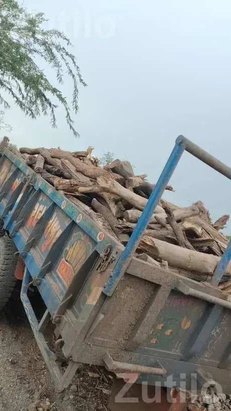 Cargo Auto Rickshaw Carrier Without Book - ઓટો રિક્ષા - રાજુલા - Image 3