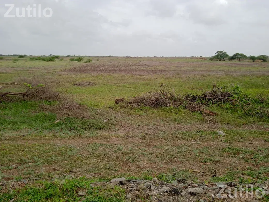Jamin vechvani che area ranavav taluka vistar gam nerana , areda - Land & Plots - Ranavav - Image 3