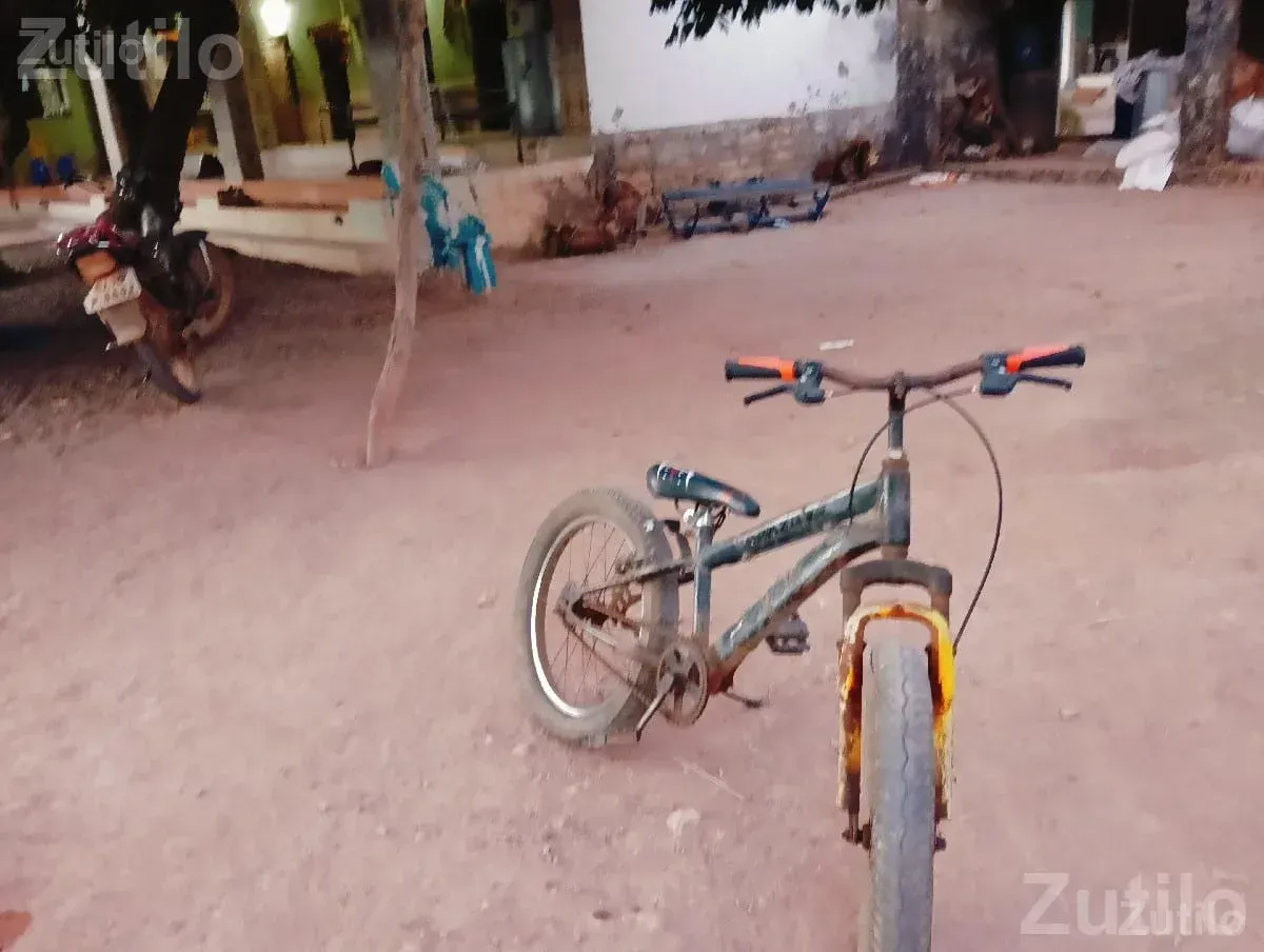 Fat Tyre Bicycle 3 Years Old - સાયકલ - કલ્યાણપુર - Image 3