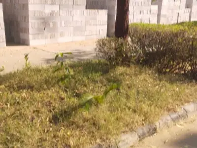 Green Residential Plot in Sanand, Ahmedabad Green Residential Plot in Sanand, Ahmedabad