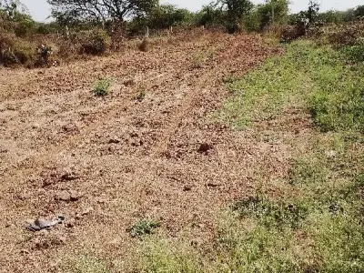 Fertile Riverfront Farmland Plot for Sale Fertile Riverfront Farmland Plot for Sale