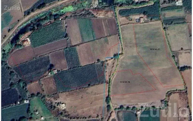 Gated Open Land Plot in Rajkot - Land & Plots - Rajkot City - Image 3