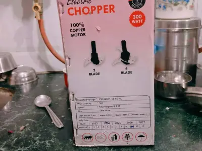 AMBIRD 300W Electric Chopper with 2 Blades