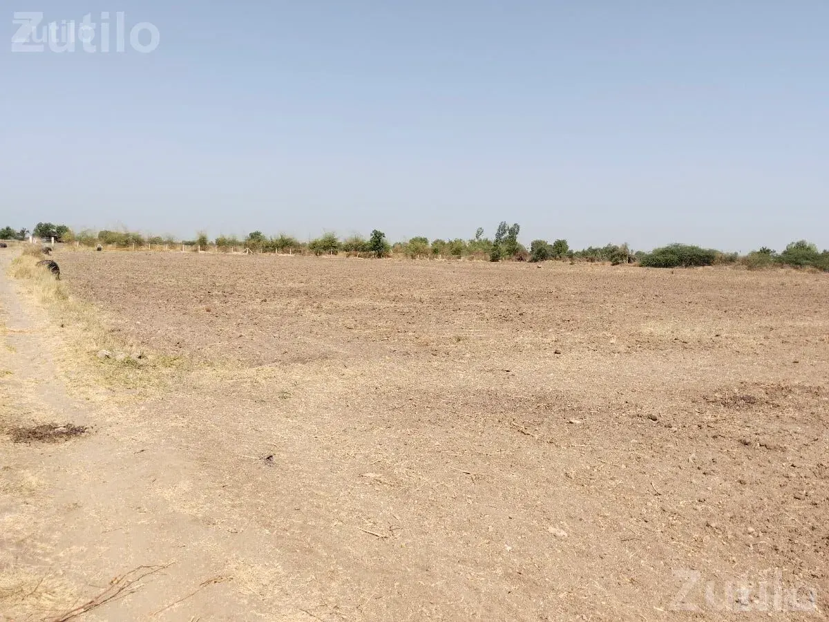 12 Vidha Agricultural Land with Drip Irrigation - જમીન અને પ્લોટ - વલ્લભીપુર - Image 2