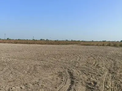 14.5 Vigha Agriculture Land for Sale 14.5 Vigha Agriculture Land for Sale