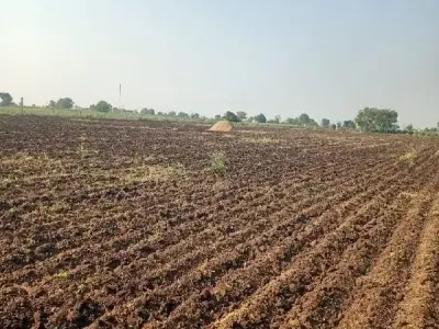 Rajkot Fertile Agricultural Land for Sale