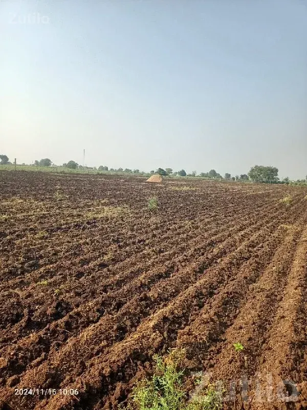 Rajkot Fertile Agricultural Land for Sale - Land & Plots - Rajkot City - Image 1