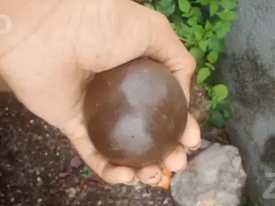 Clay Ball Toy in Clean Condition Clay Ball Toy in Clean Condition