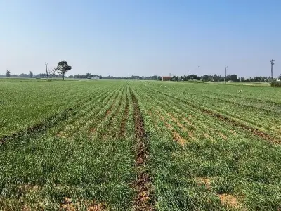જમીન વેચવાની છે જમીન વેચવાની છે