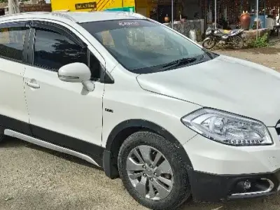 scross top Alfa model