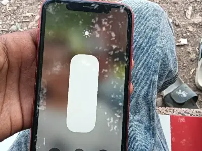 iPhone xr iPhone xr