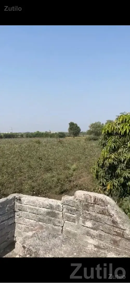 5.5 Bigha Open Land in Vartej, Bhavnagar - જમીન અને પ્લોટ - ભાવનગર શહેર - Image 2