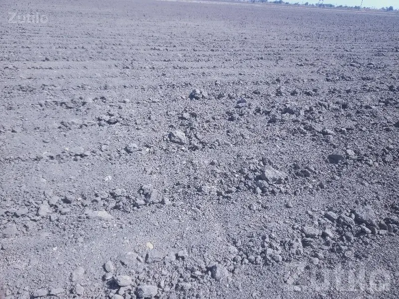 Fertile Agricultural Land in Kutiyana - Land & Plots - Kutiyana - Image 2