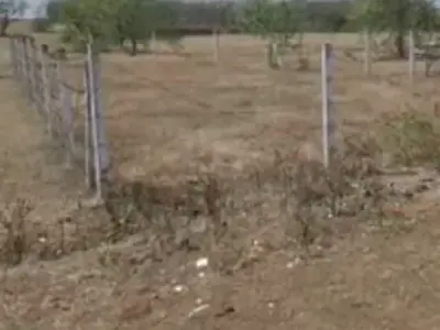 220 Sq Yard Plot for Sale near Narvai Mandir 220 Sq Yard Plot for Sale near Narvai Mandir