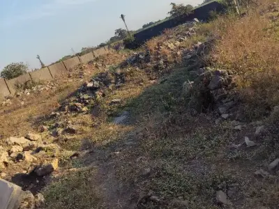 1 vigo binkheti vesvani se 1 vigo binkheti vesvani se