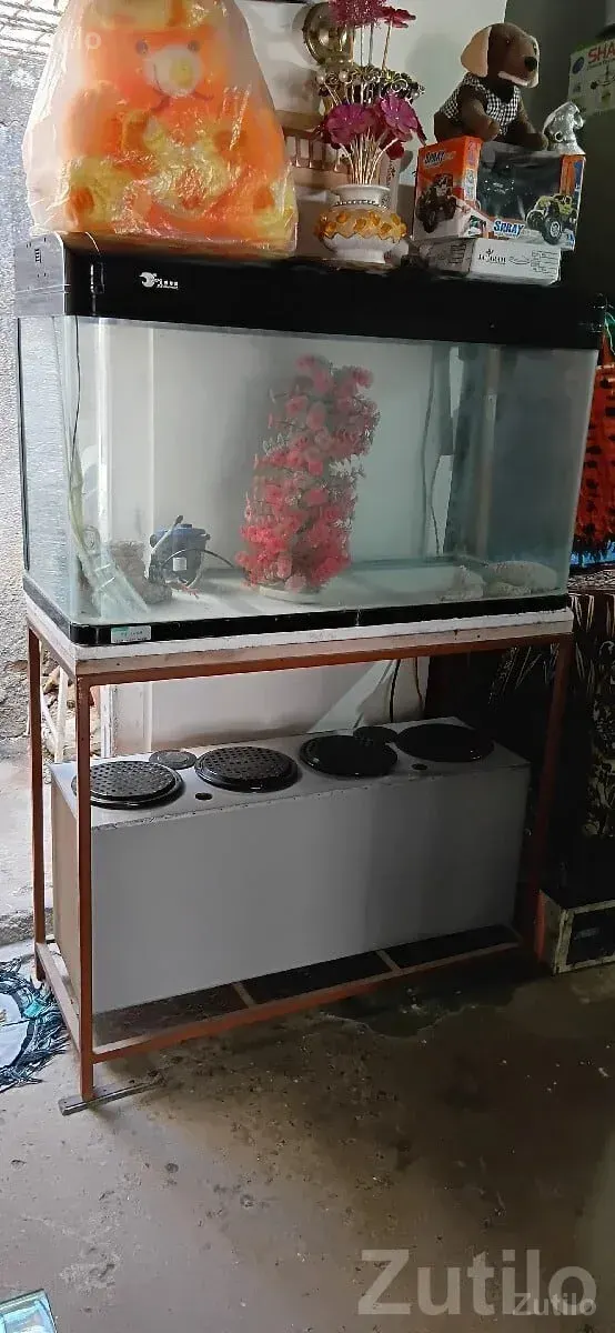 Large Glass Fish Aquarium With Stand - Other Hobby Items - Rajkot City - Image 2