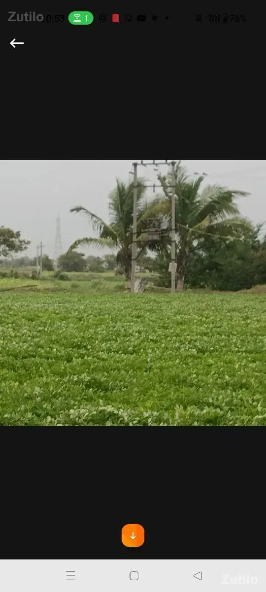 jamin - Land & Plots - Dwarka - Image 3