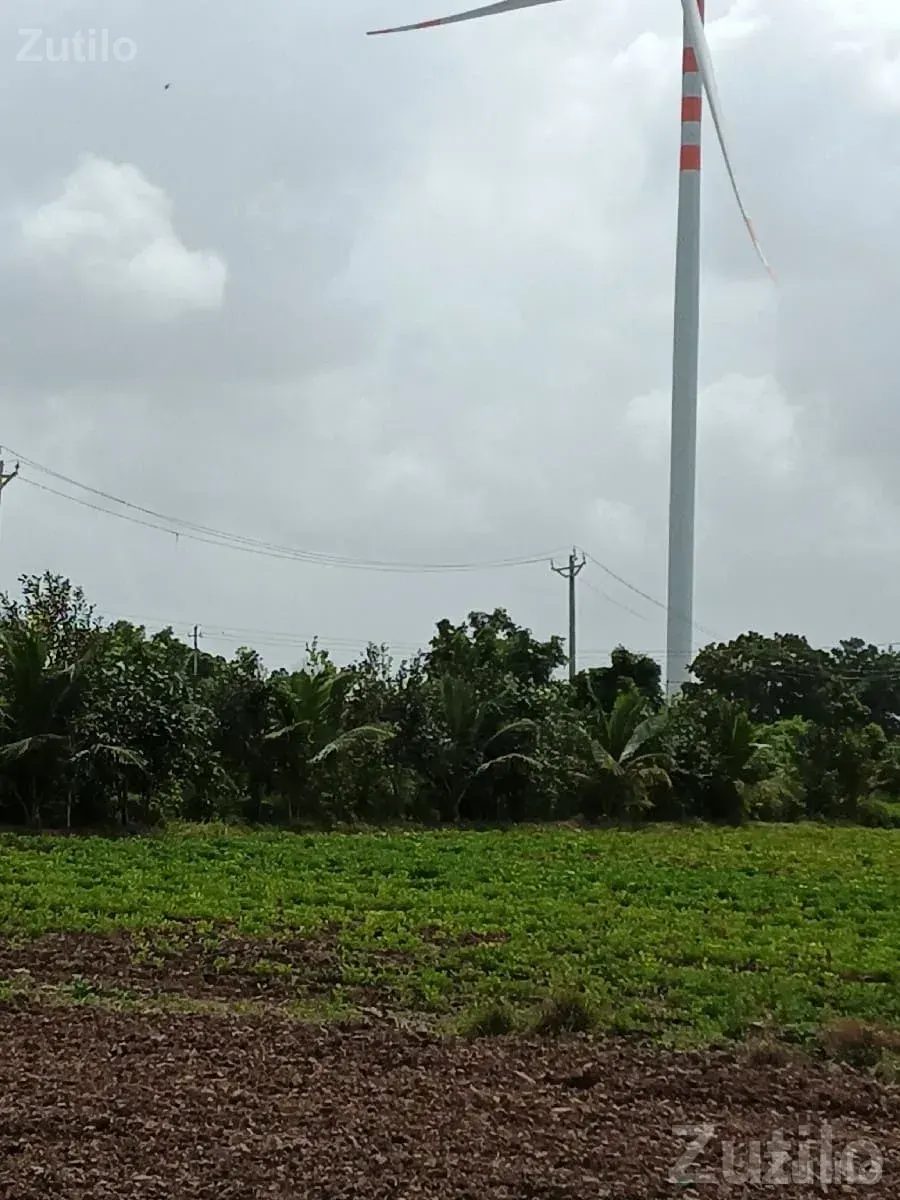 16.5 Vigha Fertile Farm Land Plot - જમીન અને પ્લોટ - ખંભાળિયા - Image 2