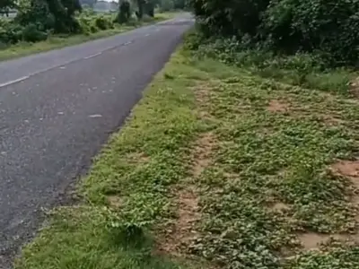 2.10 Bigha Highway Touch Land for Sale 2.10 Bigha Highway Touch Land for Sale