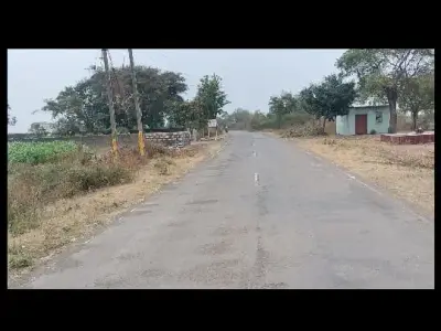 ખેતી ખેતી