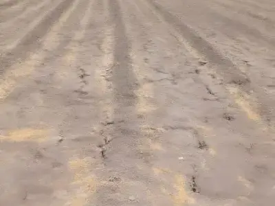 Fertile Agricultural Land in Visavadar