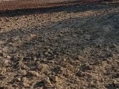 2.5 Vigha Agricultural Land for Sale 2.5 Vigha Agricultural Land for Sale