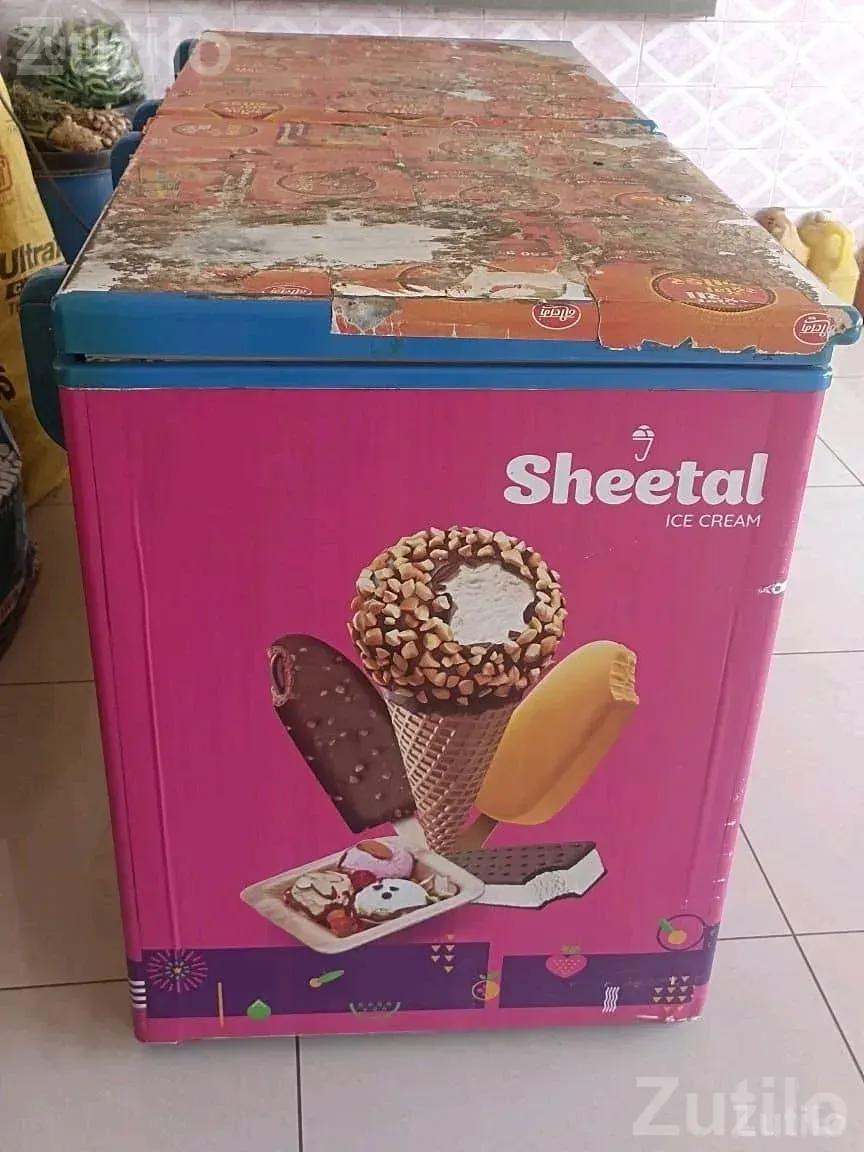 Blue Star Ice Cream Deep Freezer - Refrigerators - Amreli City - Image 2