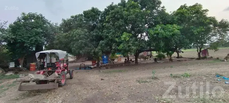 18 Bigha Fertile Agricultural Land Sale - Land & Plots - Kutiyana - Image 2