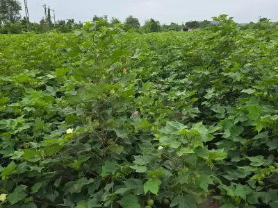 દેવગઢ જમીન વેચવાની શે