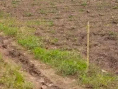 5 Vigha Fertile Agricultural Land, Prasli 5 Vigha Fertile Agricultural Land, Prasli