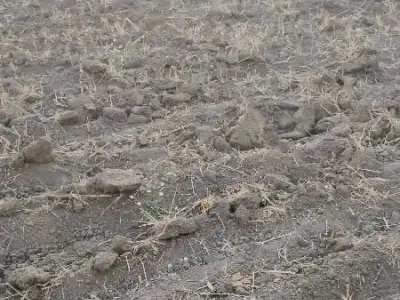 Visavadar Fertile Agricultural Land Plot