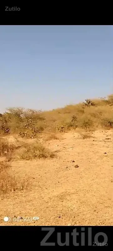 28 Vigha Open Land in Junisar, Jamjodhpur - જમીન અને પ્લોટ - જામજોધપુર - Image 2