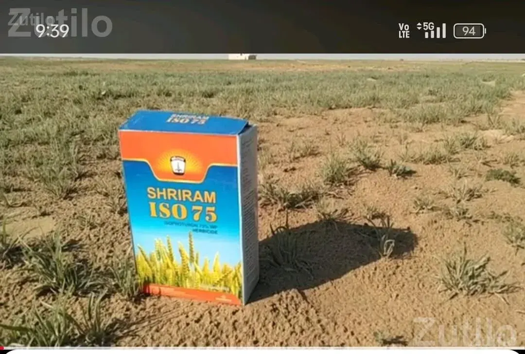 Agricultural Land Plot for Sale - જમીન અને પ્લોટ - નખત્રાણા - Image 2