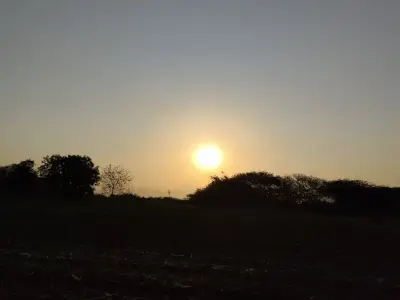 જમીન ( વાડી ) વેચવાની છે. જમીન ( વાડી ) વેચવાની છે.