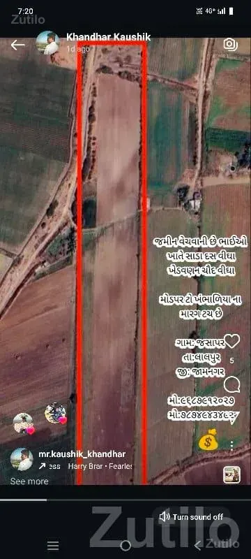 Agricultural Land Plot for Sale in Lalpur - જમીન અને પ્લોટ - લાલપુર - Image 1