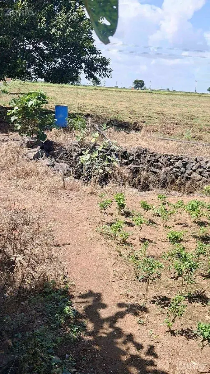 6.5 વીઘા  
60 લાખનો એકર - જમીન અને પ્લોટ - કલાવડ - Image 2
