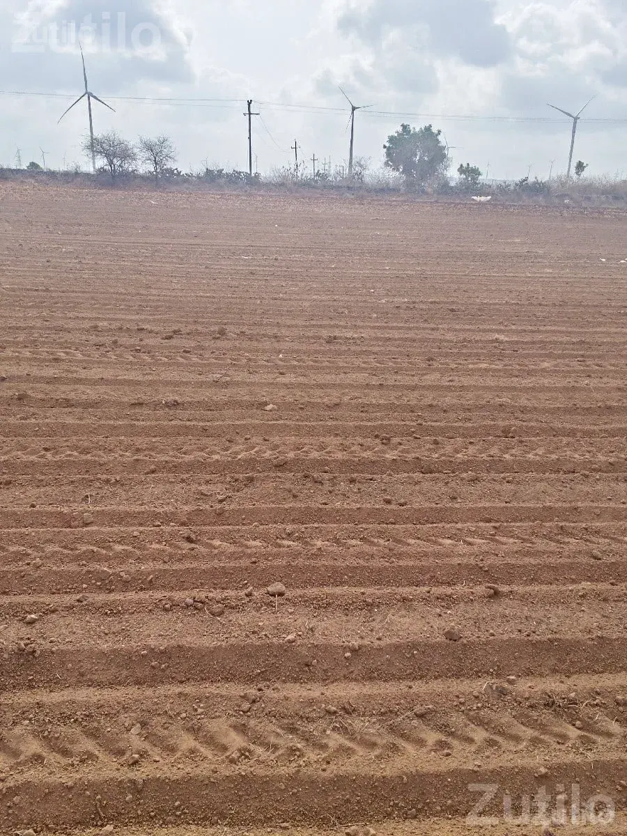 40 Vigha Agricultural Land on Share Basis - જમીન અને પ્લોટ - લાલપુર - Image 3