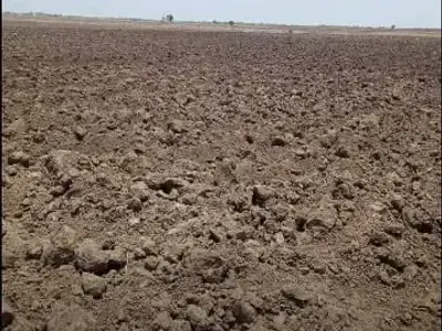 5 Vigha Agricultural Land Kutiyana
