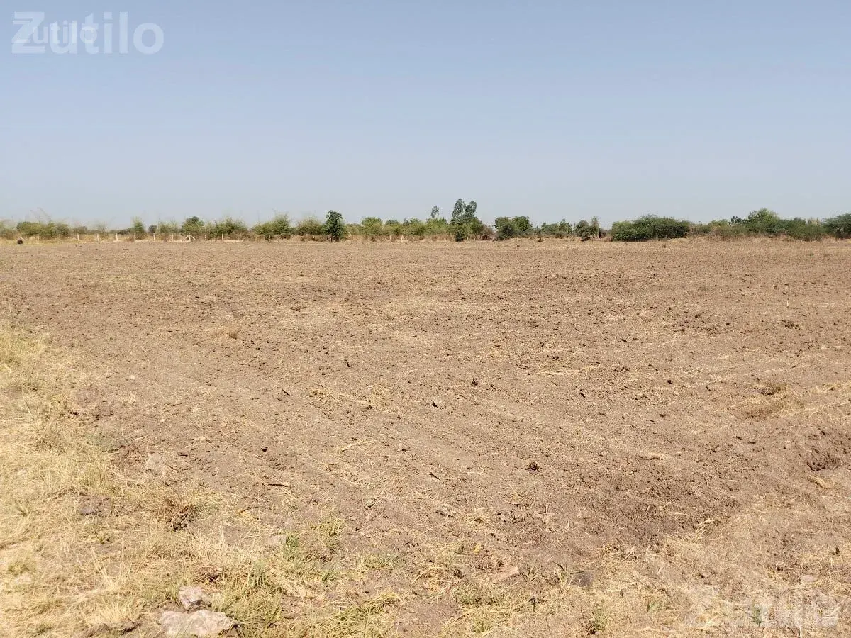 12 Vidha Agricultural Land with Drip Irrigation - જમીન અને પ્લોટ - વલ્લભીપુર - Image 3