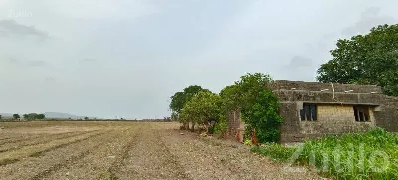 18 Bigha Fertile Agricultural Land Sale - Land & Plots - Kutiyana - Image 3