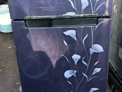 Samsung Double Door Floral Refrigerator Samsung Double Door Floral Refrigerator