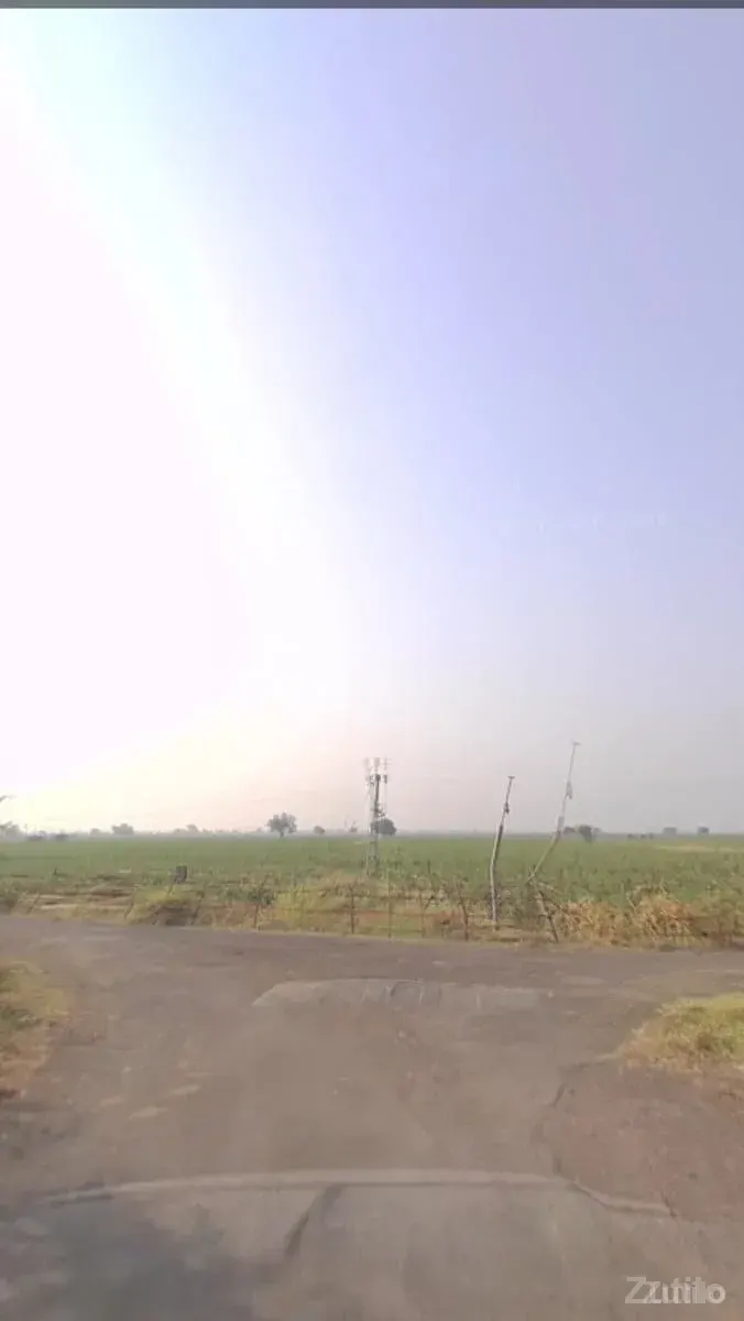 17 વીઘા છે - જમીન અને પ્લોટ - સાવરકુંડલા - Image 2